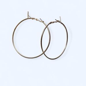 Elegant Silver Hoop Earrings